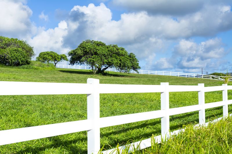Best Fence Painting Contractors in Elk River, MN