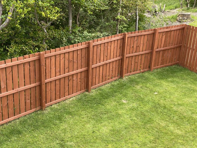 Fence Painting Service