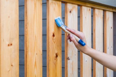 Fence Painting Service