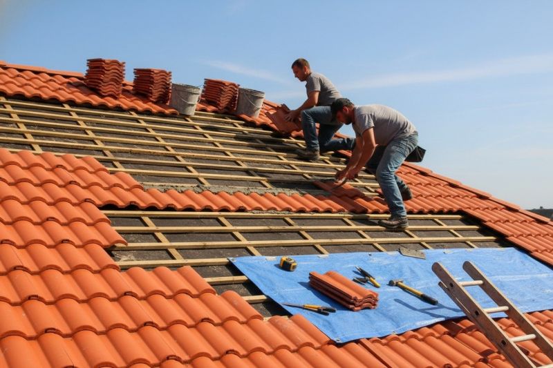 Tile Roof Painting